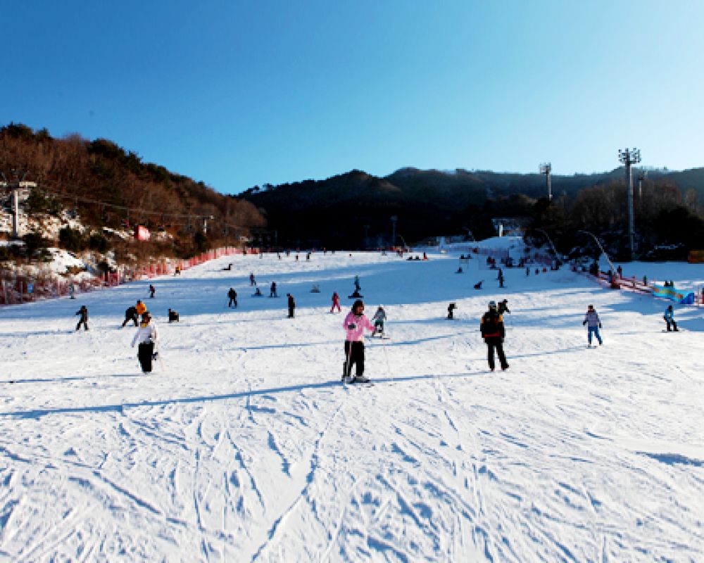 스키, 스노우보드 즐기기